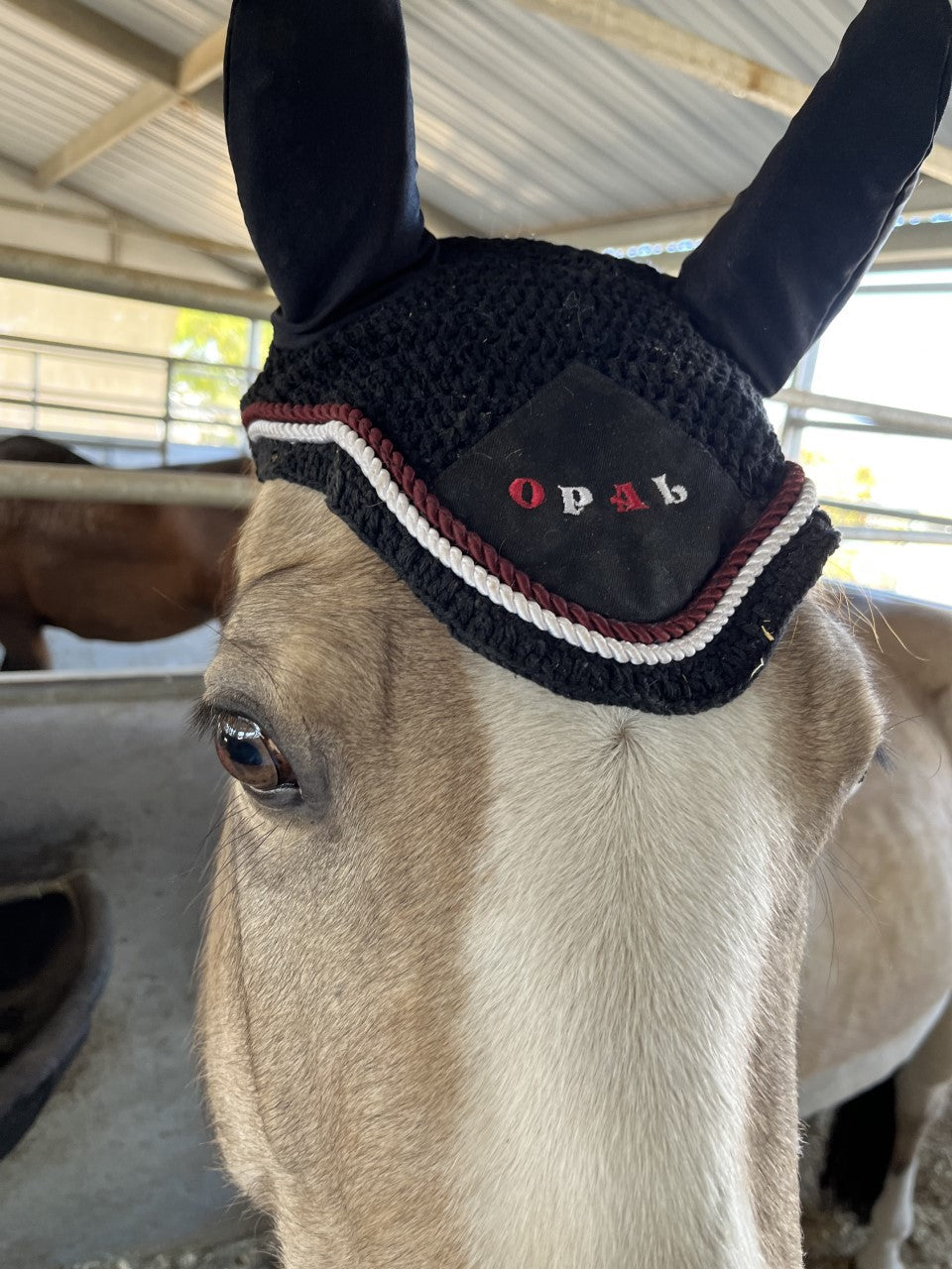 Embroidered Ear Bonnet - Simple Design